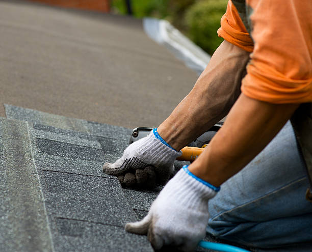 Best Roof Maintenance Services  in Mccullom Lake, IL